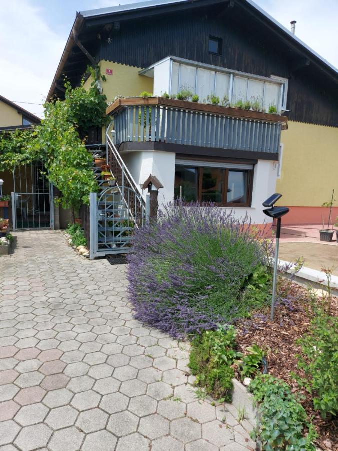 Ferienwohnung Apartma Reich Ptuj Exterior foto